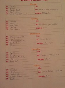 My fancy not fancy weekly plan